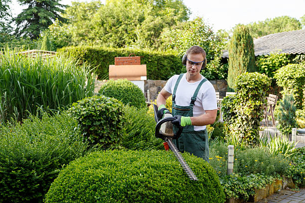 Best Lawn Watering Services  in Shenandoah, TX